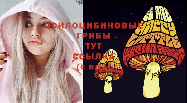 метамфетамин Армянск