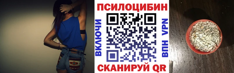 Псилоцибиновые грибы GOLDEN TEACHER  как найти закладки  блэк спрут ссылки  Аксай 